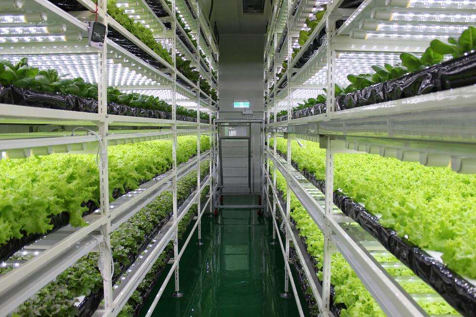 植物培养型人工气候室